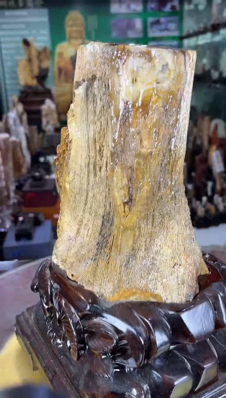 缅甸天然树化玉摆件