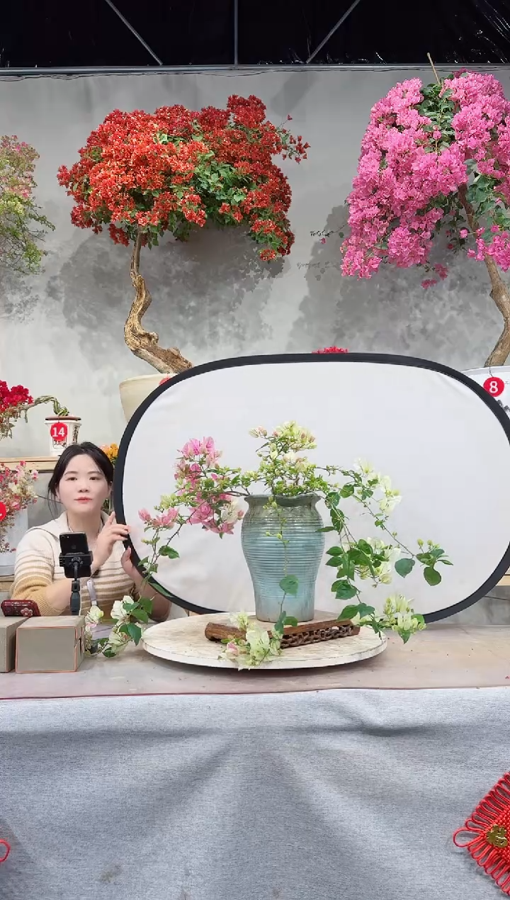 【闪购商品】盆景漳红樱