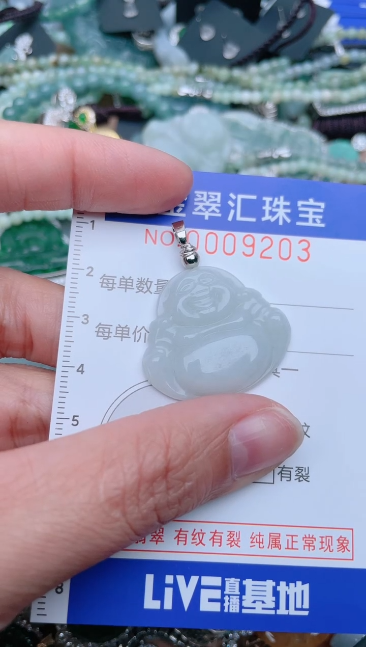 【闪购商品】翡翠颈饰未镶嵌9203.......1