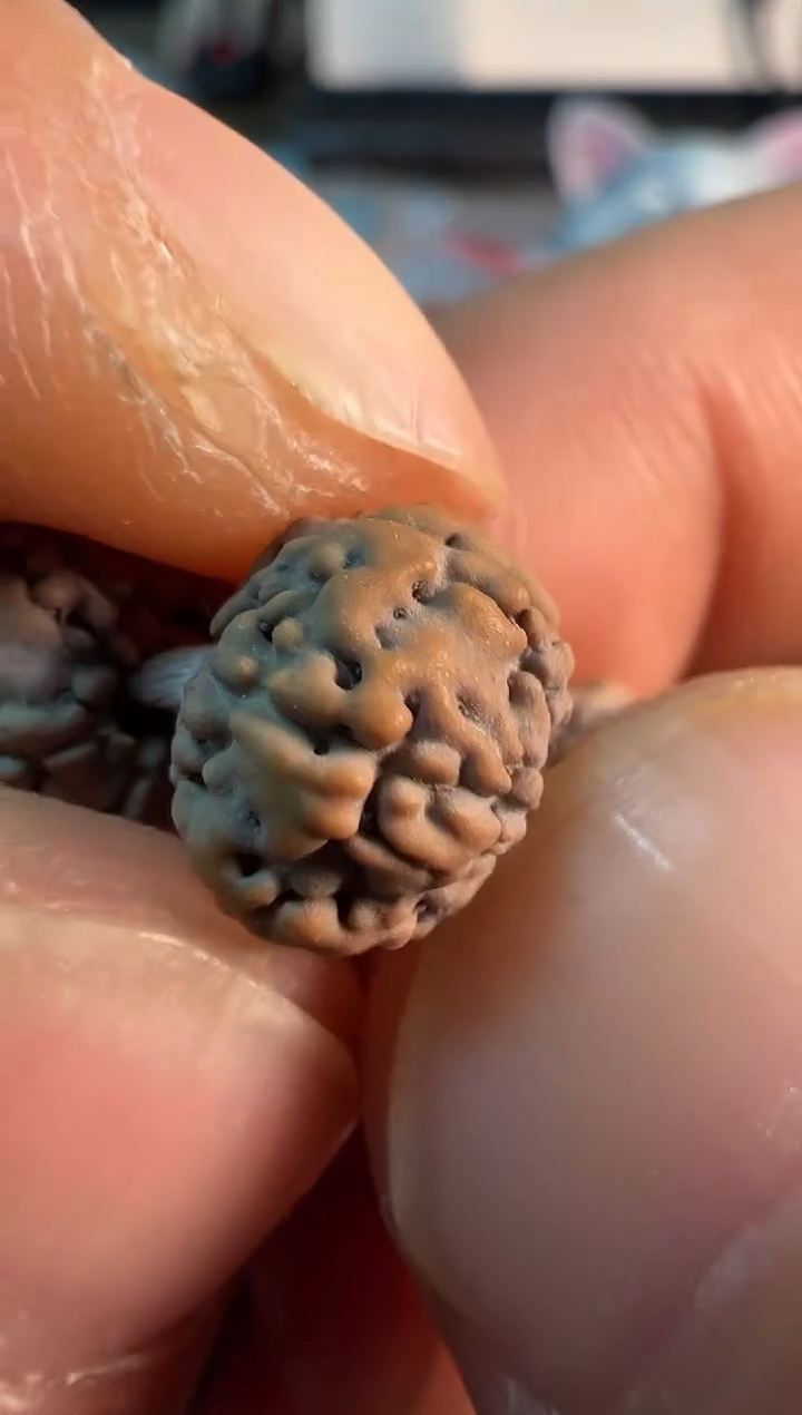 【闪购商品】金刚菩提手串真空包装灰皮一代老树王