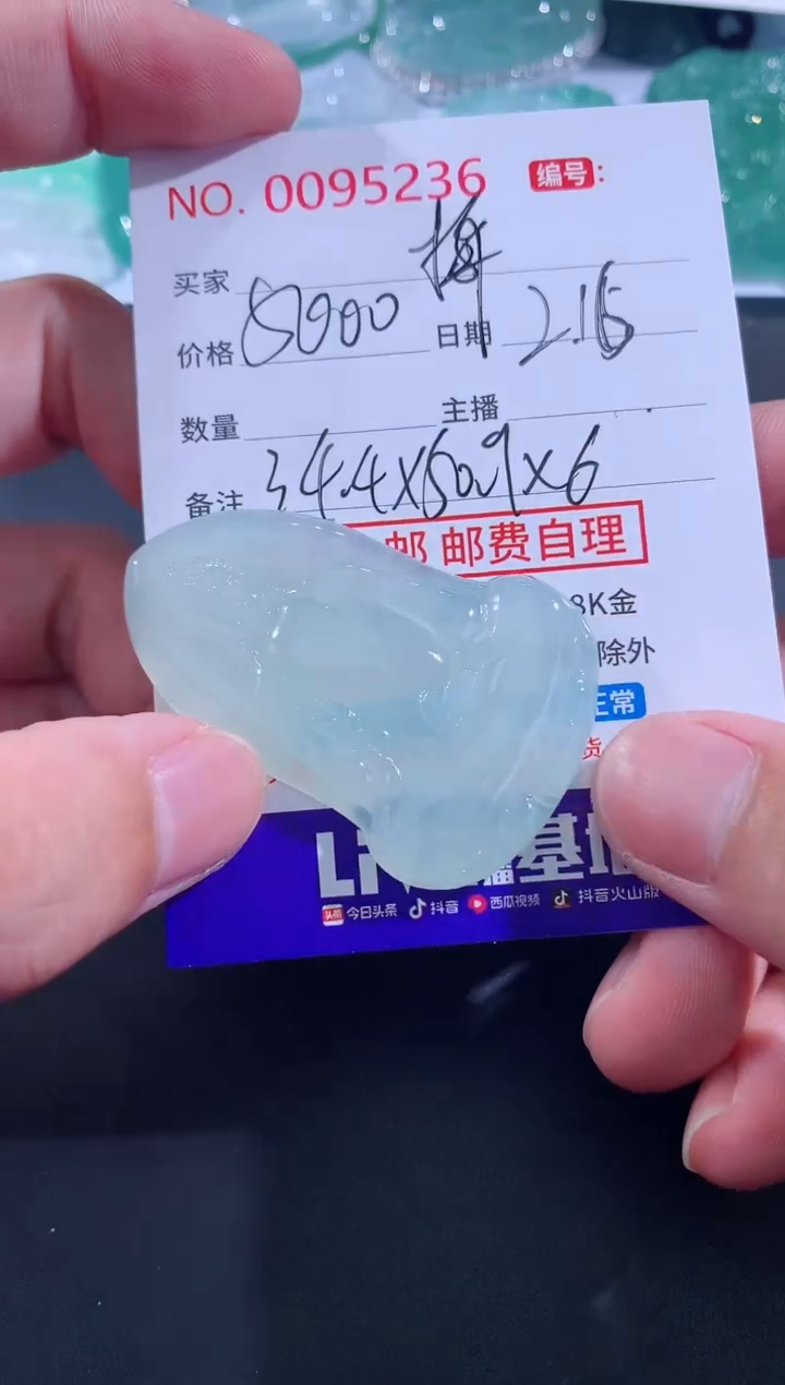 【闪购商品】翡翠颈饰未镶嵌梅