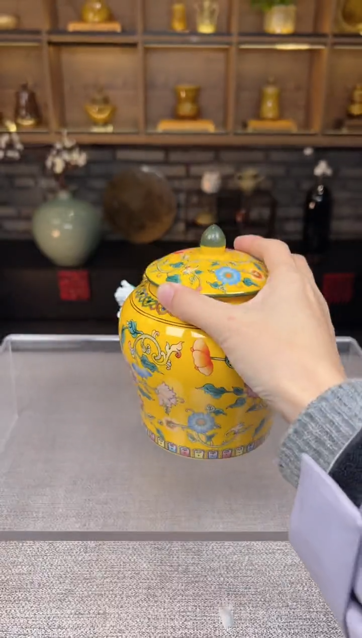 【闪购商品】无尽藏 专属福利单 VVV 