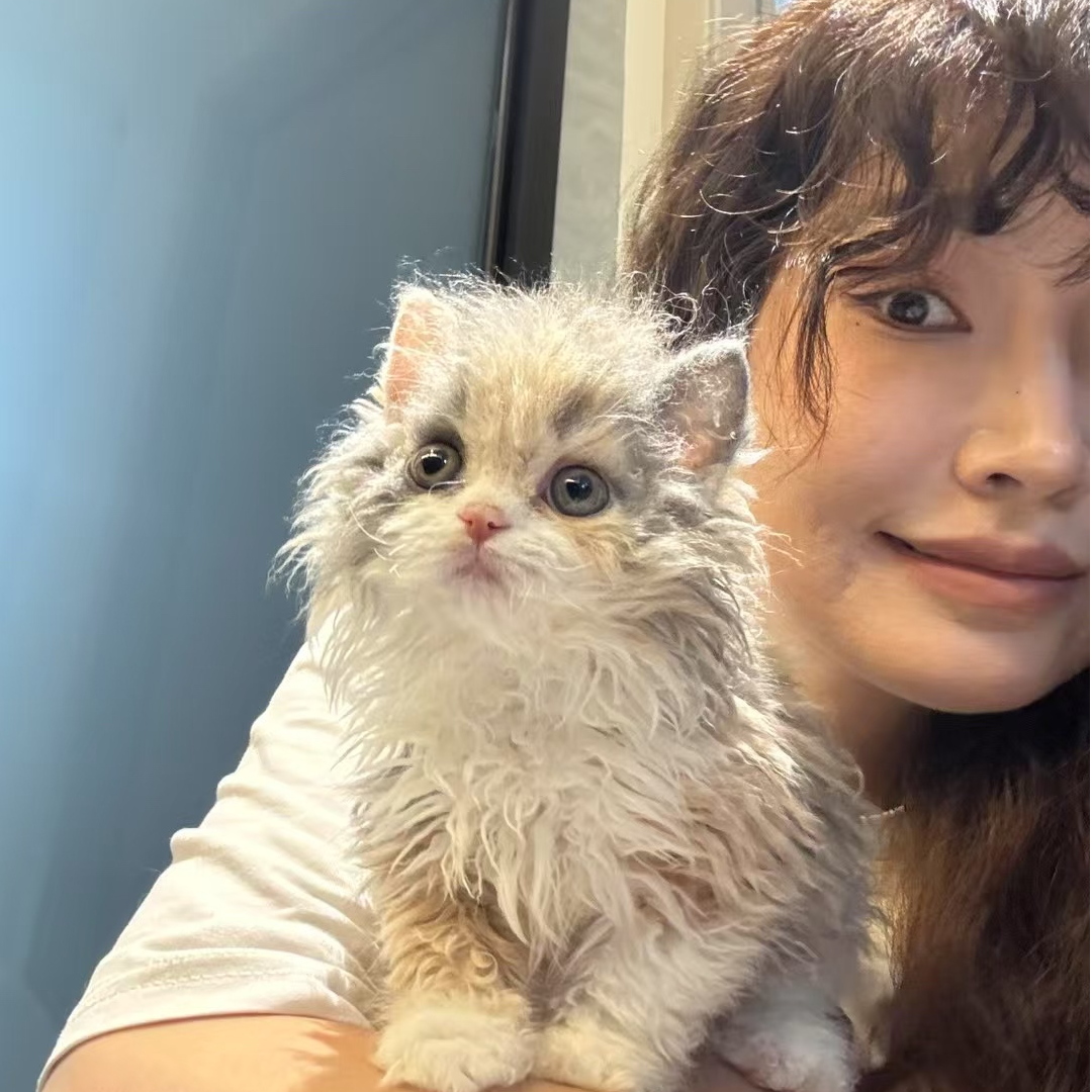 章鱼的塞尔凯克猫咪全价