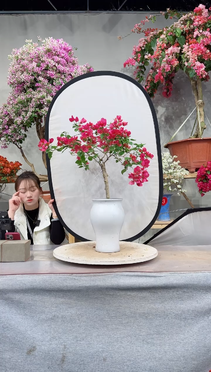 【闪购商品】甜西瓜