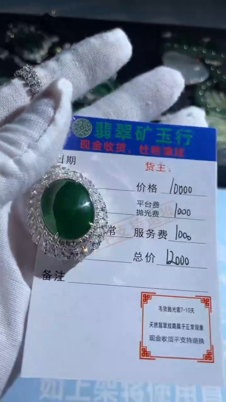 颈饰银S925镶嵌翡翠葡**利-净货