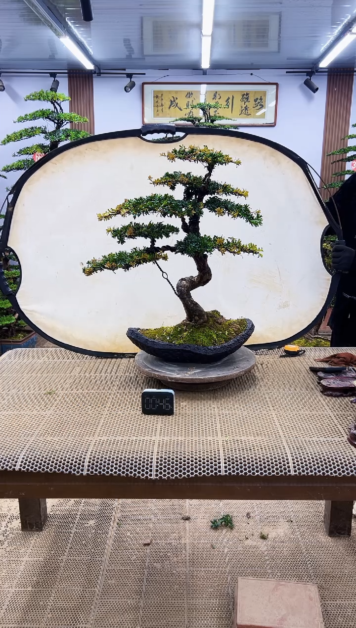 【闪购商品】0000000000