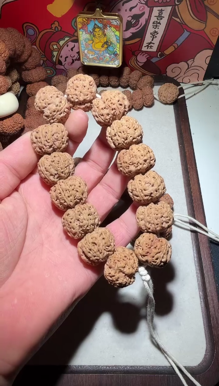 【闪购商品】金刚菩提手串超头闷墩粗筋深沟梅花满肉双龙25