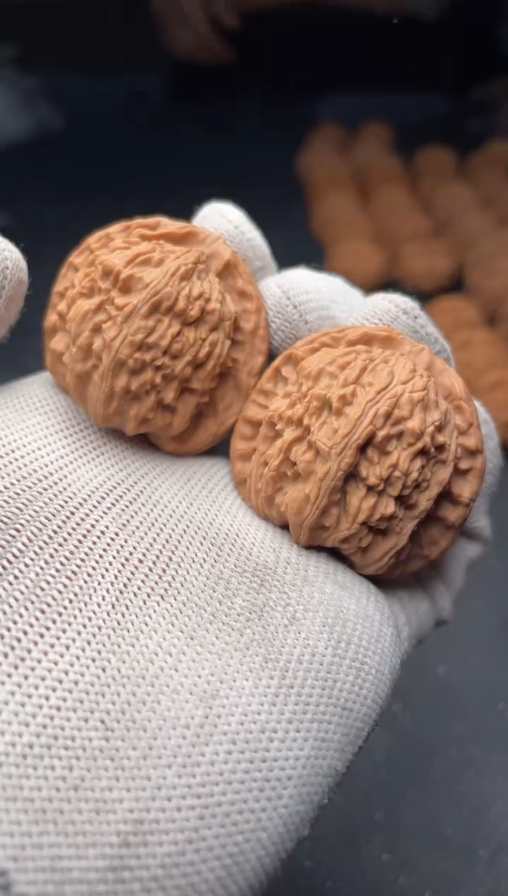 核桃a1 白狮子  38尺