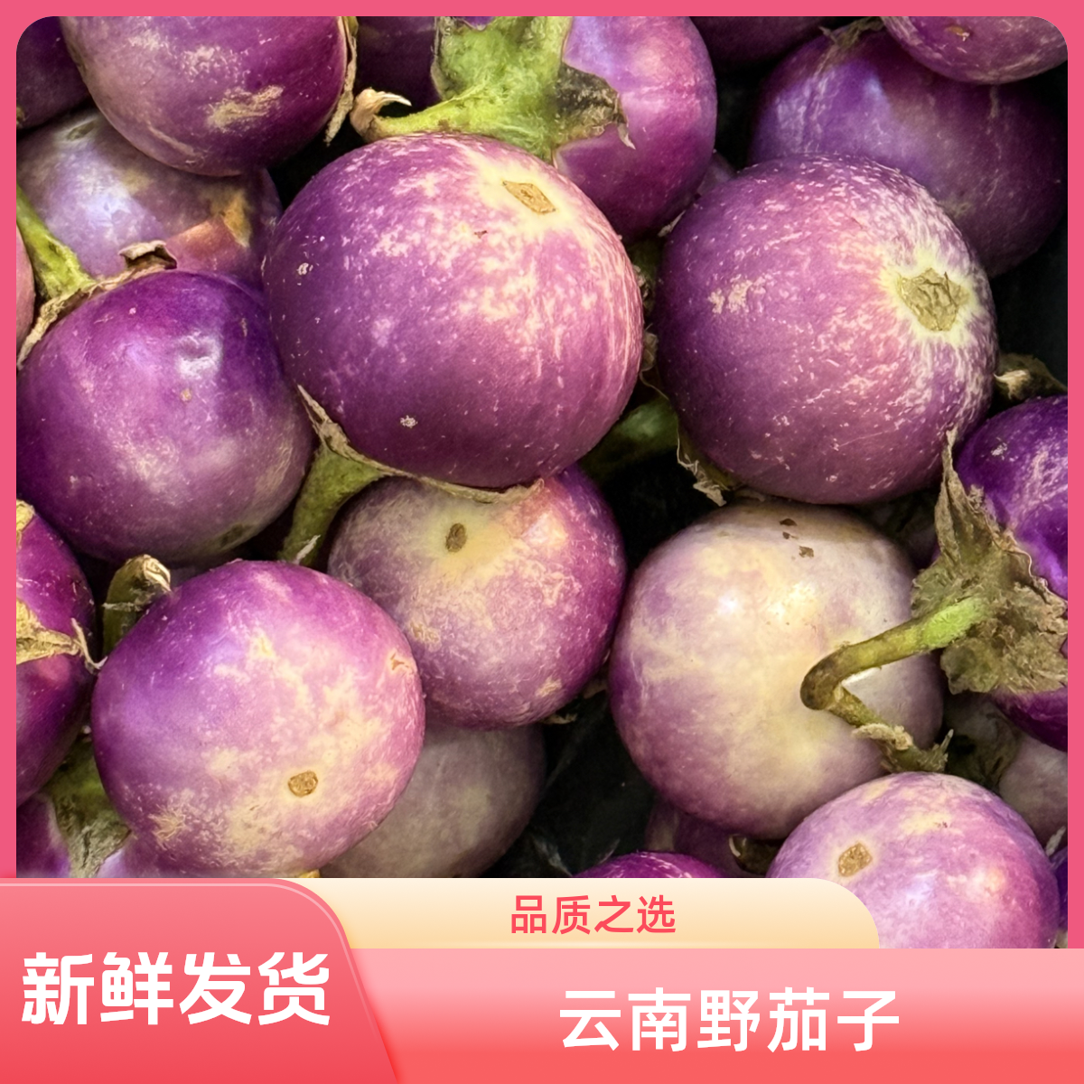 空运云南野茄子新鲜紫茄子版纳野茄子洋芋红菜头圆茄子土豆