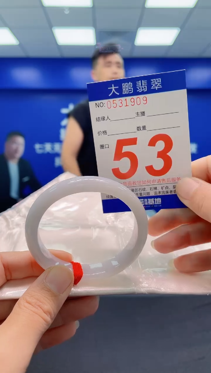 未镶嵌手镯翡翠AAAAAAAAA
