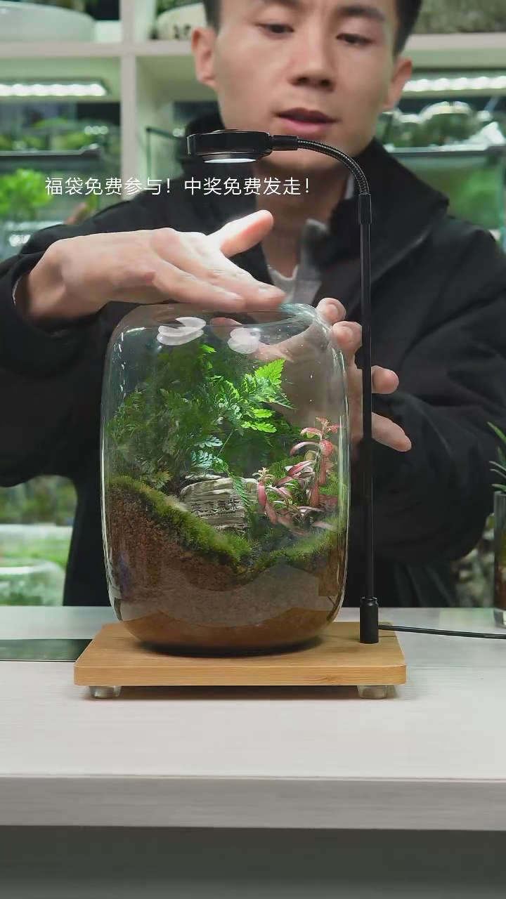 【闪购商品】紫气东来孤品大肚缸