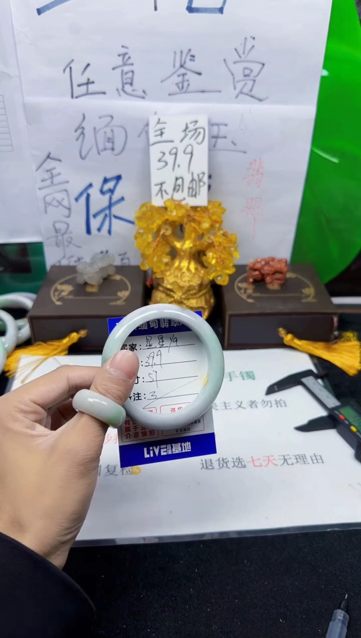 未镶嵌手镯翡翠星**a3