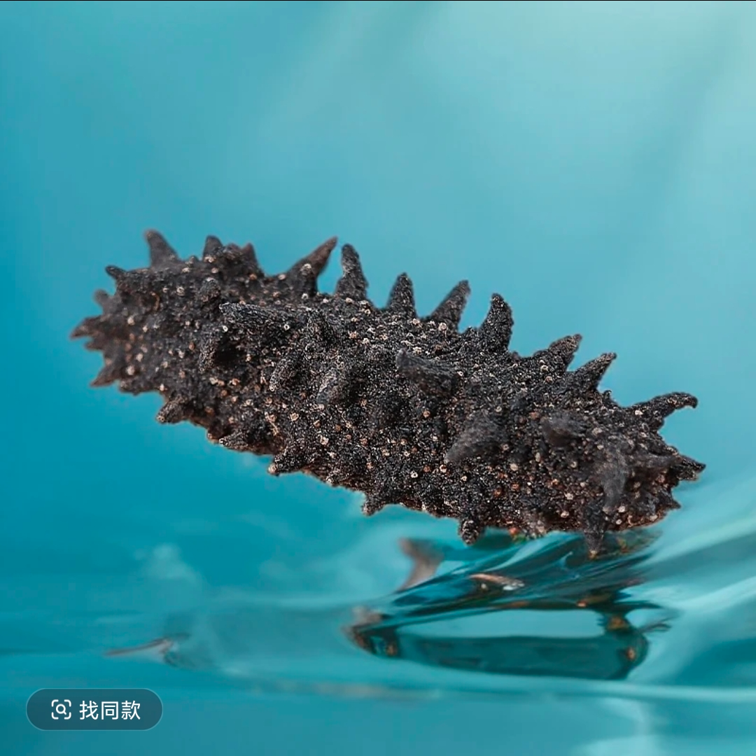 【100头左右】俄罗斯海参淡干海参（足干  纯淡干 原货）顺丰包邮