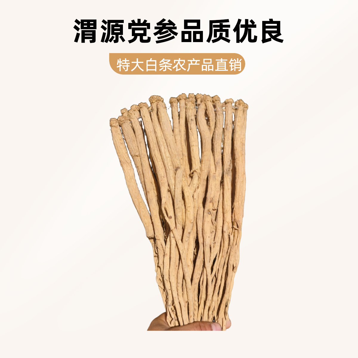 甘肃渭源产地直发(无硫特大条9成干）白条党参，烽哥精选你值得拥有