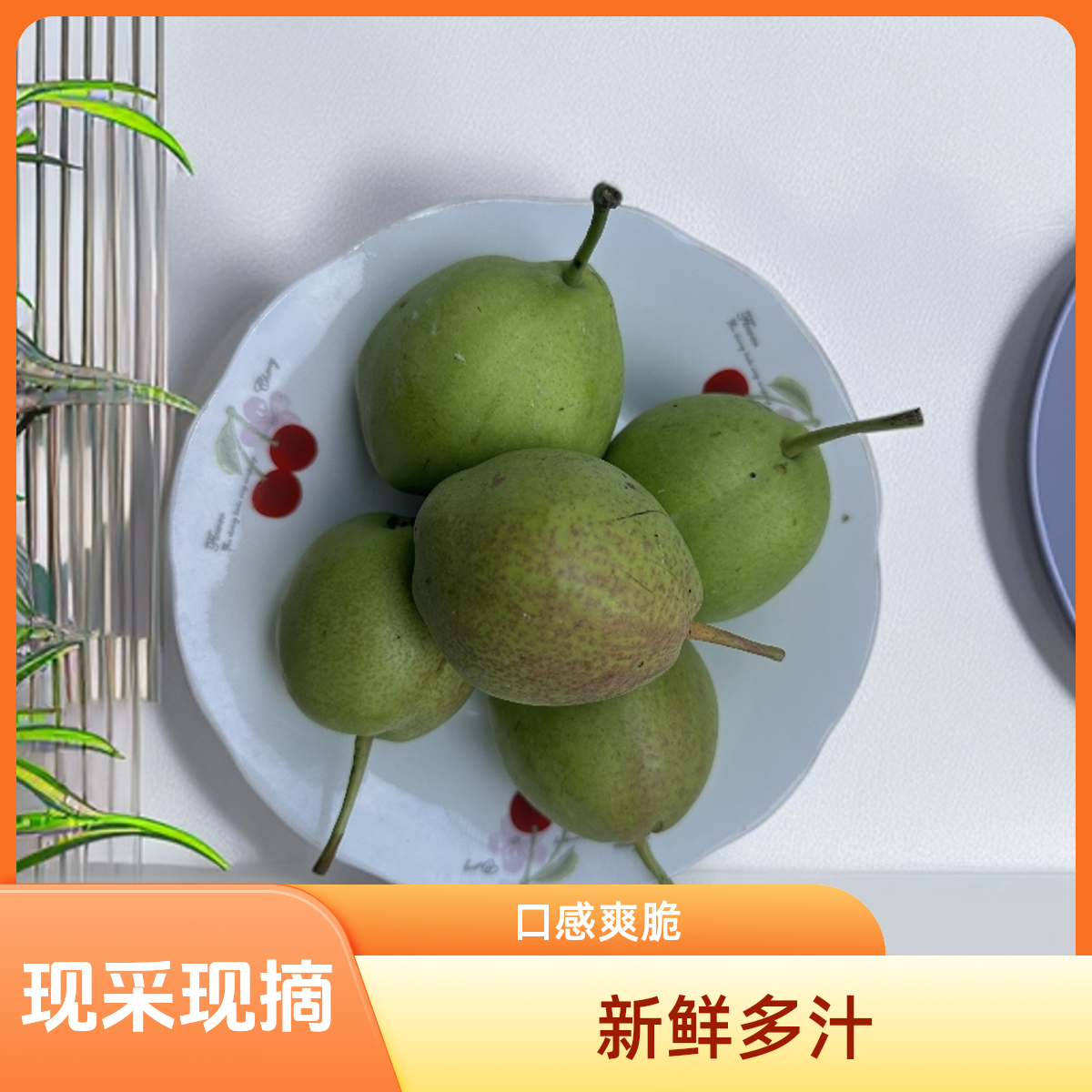 新鲜现摘应季小香梨水果口感爽脆多汁现摘现发 香梨