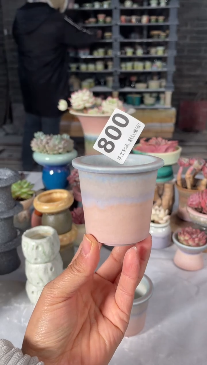 瓷片800小芳直播编号