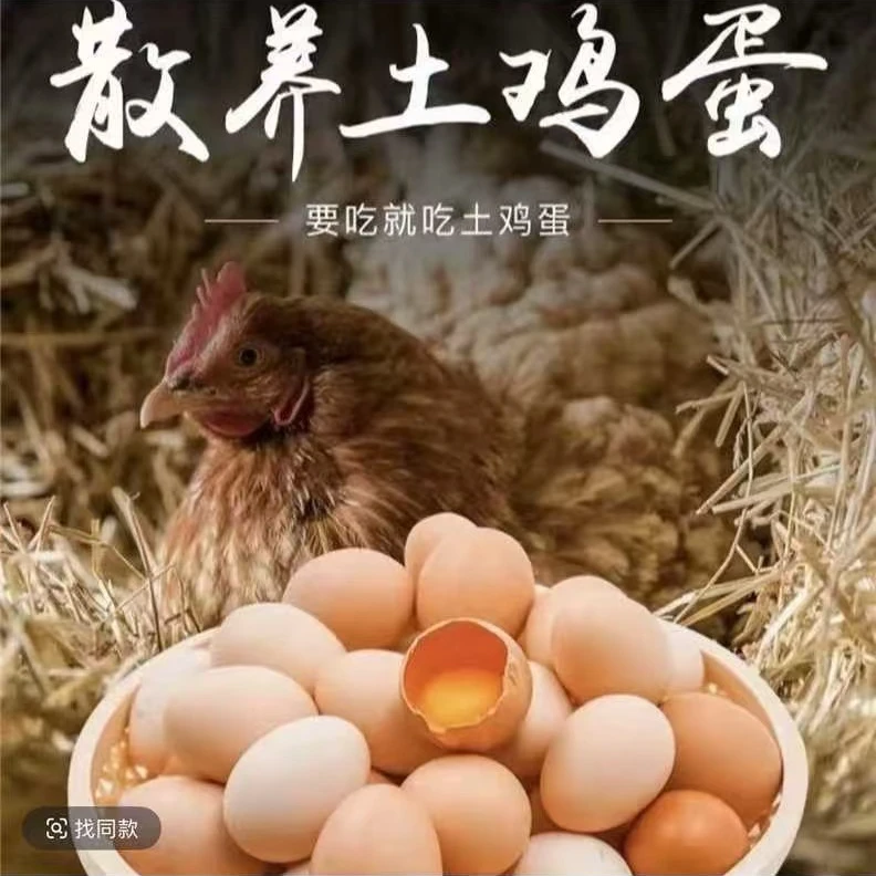 【整箱50枚】新鲜散养土鸡蛋当日现捡现发纯五谷喂养50枚