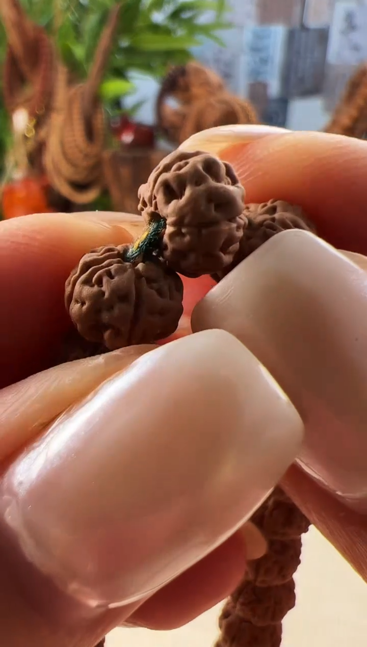 金刚菩提吊坠勿里达老树王长串8mm左右