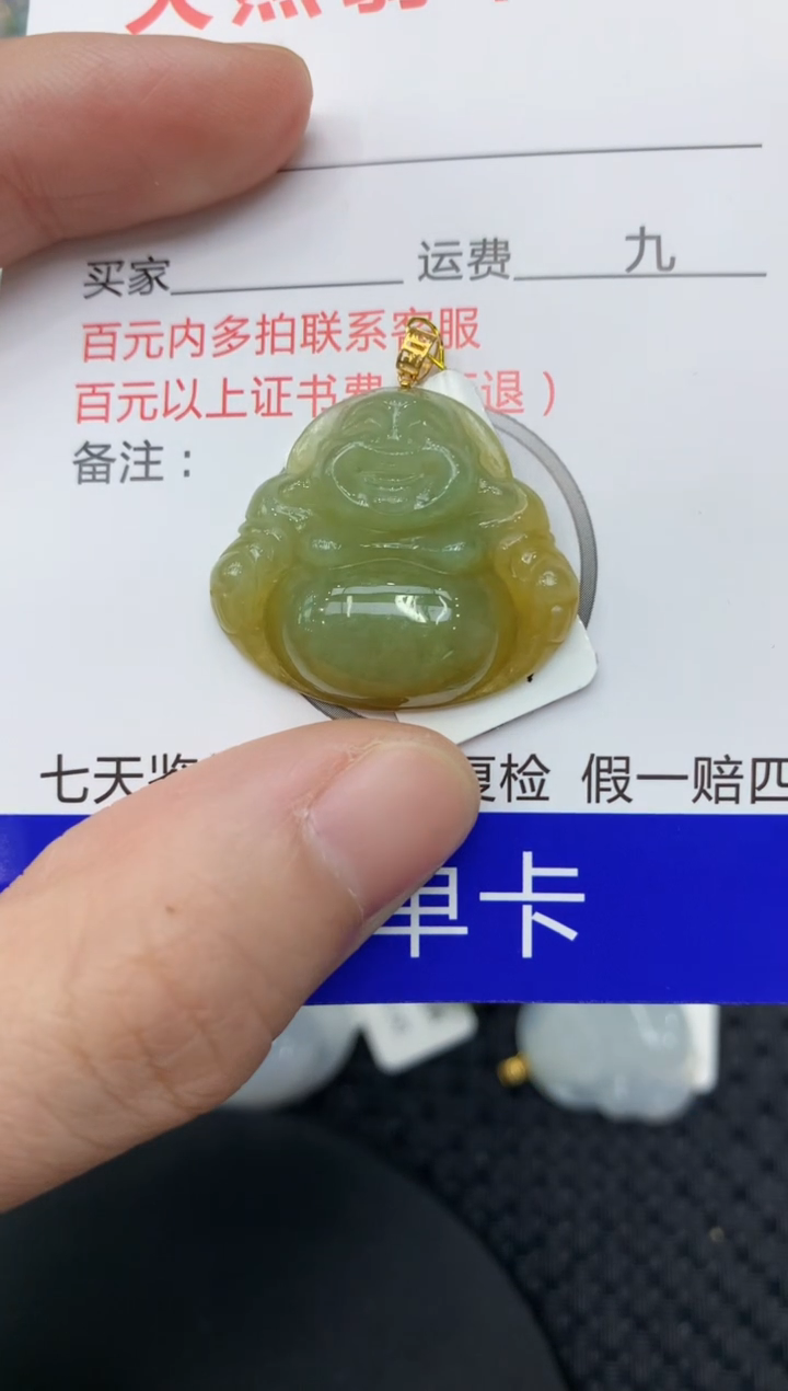 【闪购商品】翡翠颈饰18K金镶嵌11111111