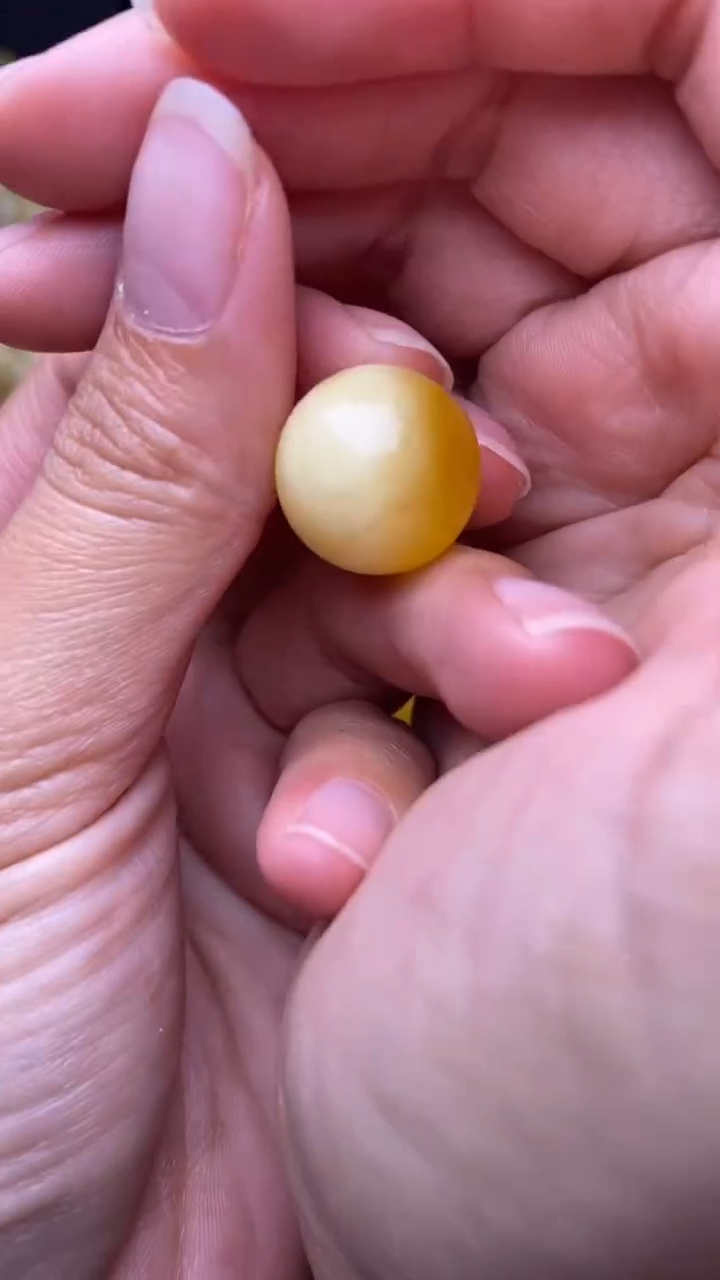 裸石蜜蜡未镶嵌葵.7