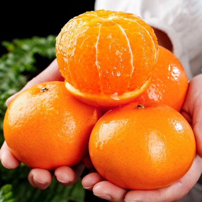 唐老师高山老树沃柑新鲜现摘现发坏果包赔