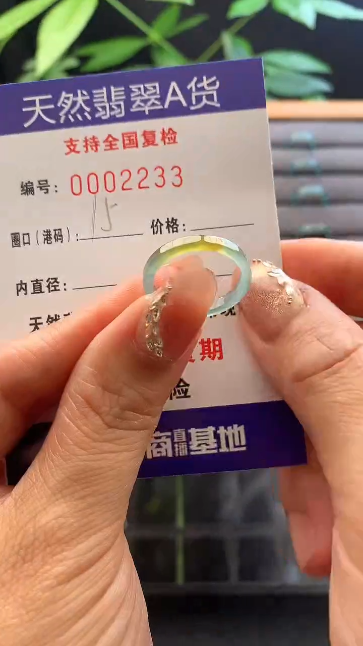 翡翠未镶嵌戒指 2233