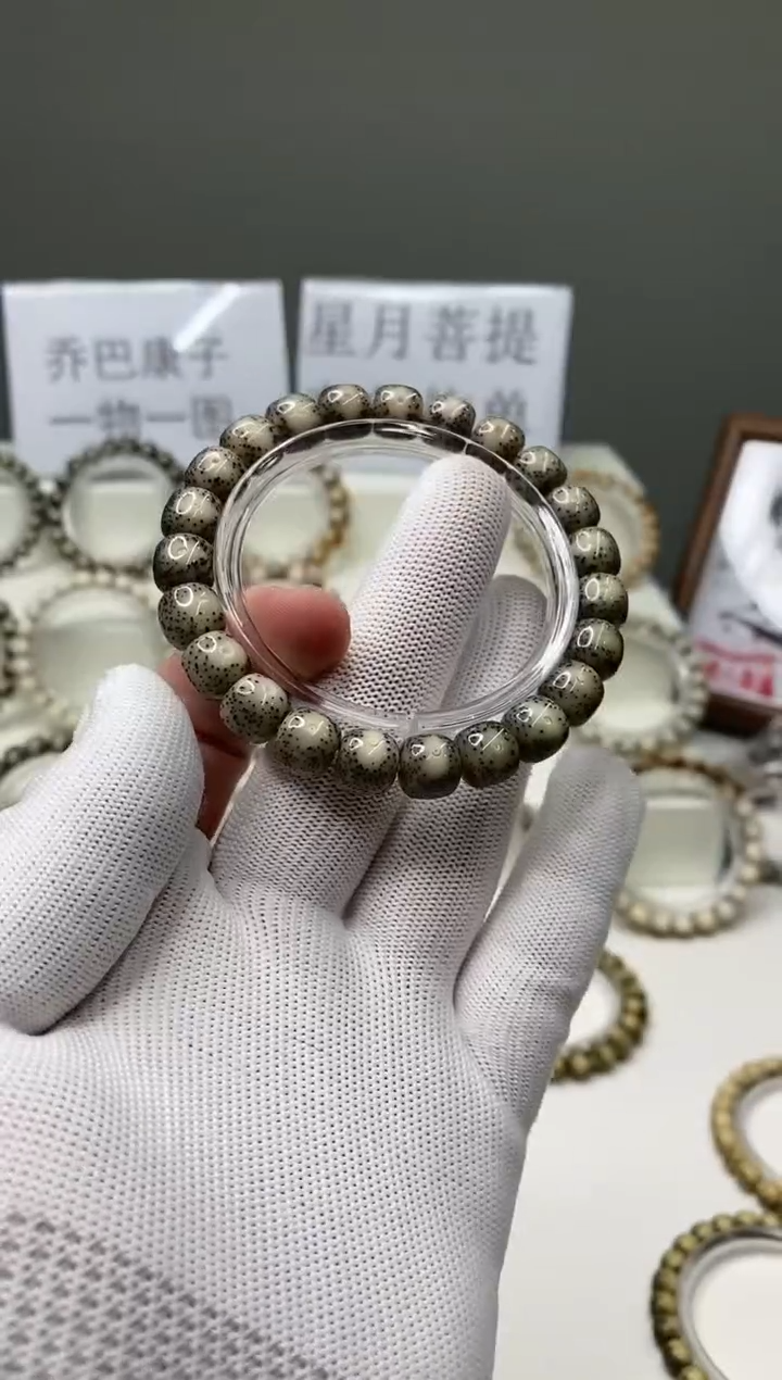 手串星月菩提173     b17