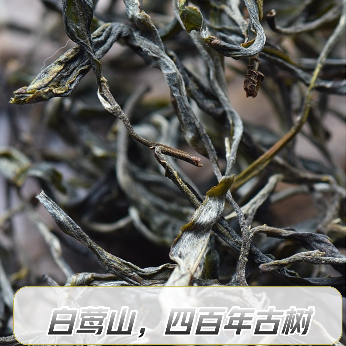 [2024白莺山400年古树]黑长条头春中国云南普洱生茶200克匠心手作