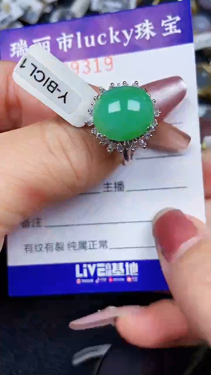 颈饰银S925镶嵌翡翠9319