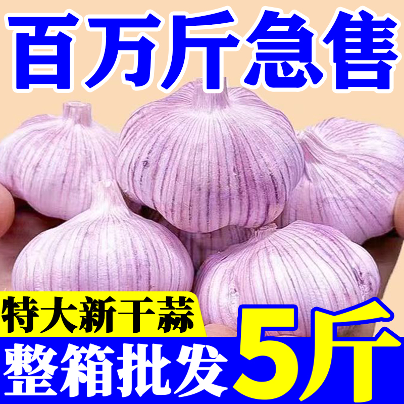 【助农产品】2025年新蒜干大蒜紫皮大蒜多瓣蒜头整箱批发