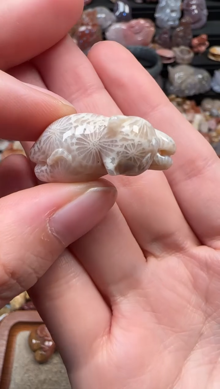颈饰未镶嵌硅化珊瑚（珊瑚玉）136