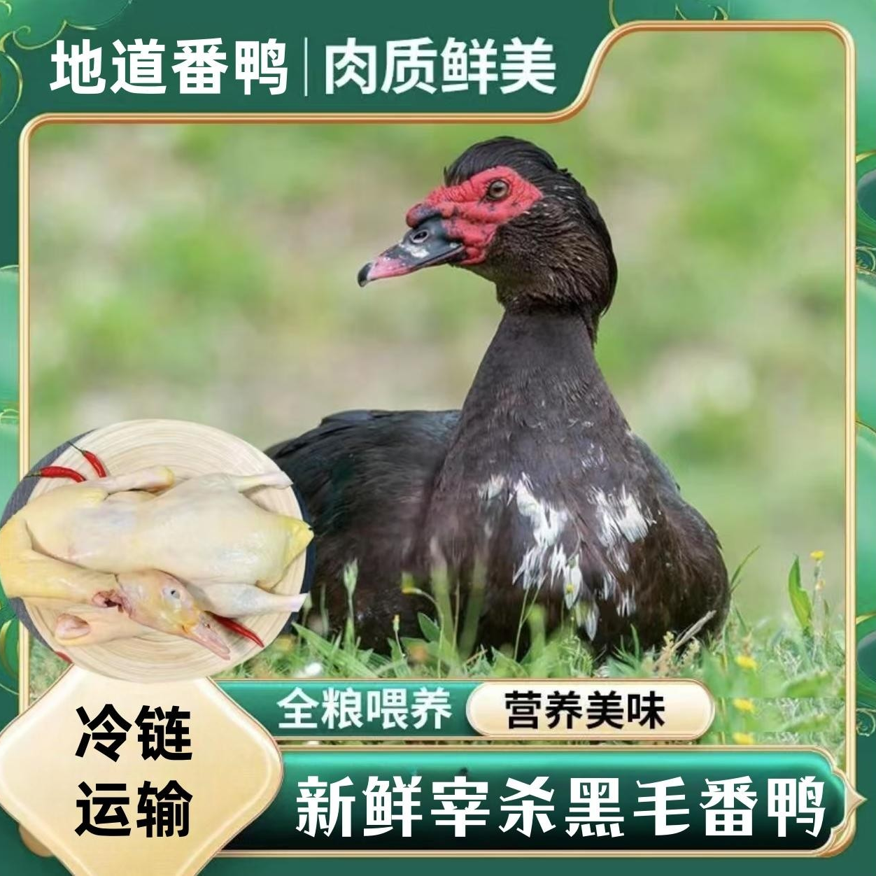 【兵哥A】农家散养番鸭 单只净重4-5斤  冷链运输