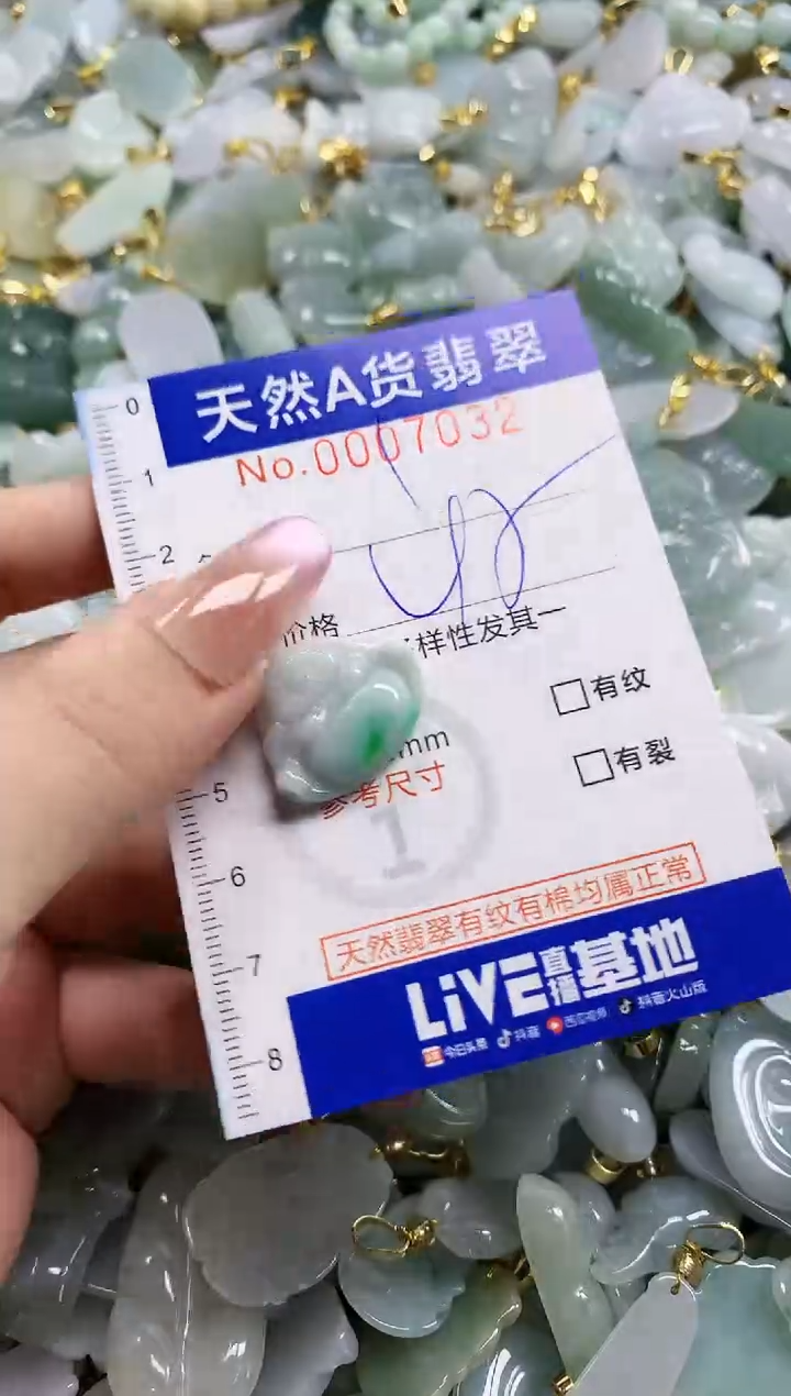 颈饰未镶嵌翡翠天然A货翡翠