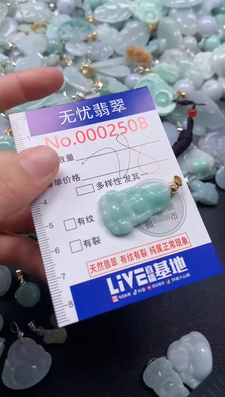 颈饰未镶嵌翡翠2508