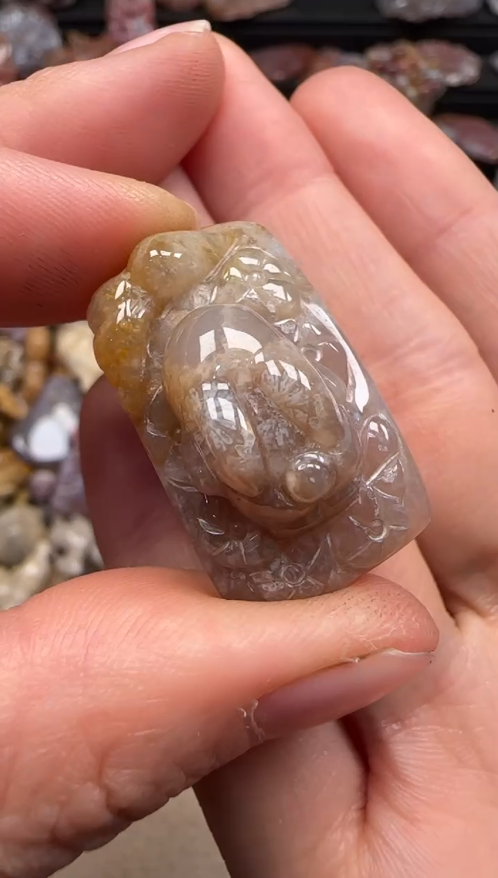 【闪购商品】硅化珊瑚（珊瑚玉）颈饰未镶嵌251