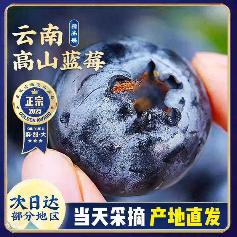 【顺丰送上门】 云南蓝莓新鲜水果当季鲜果现摘高山怡颗大果整箱包邮江苏省