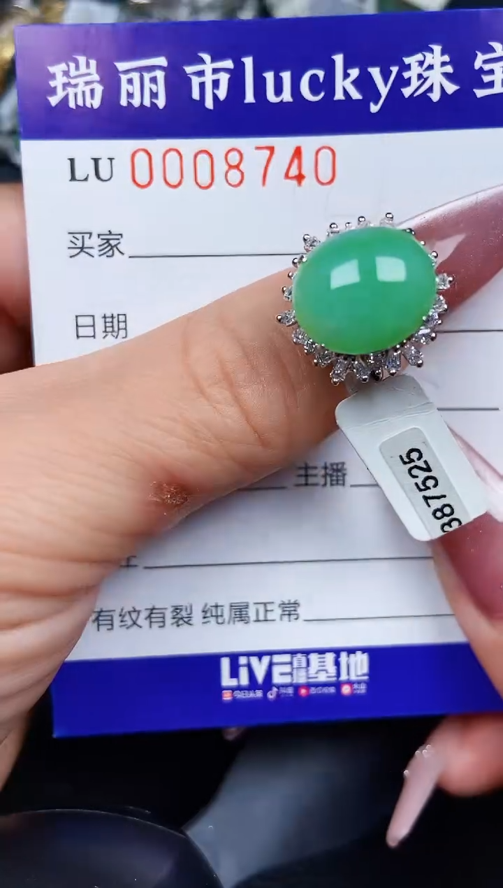 翡翠银S925镶嵌颈饰8740