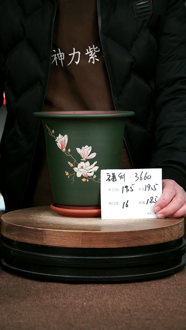 紫砂花盆花卉园艺3660+Z