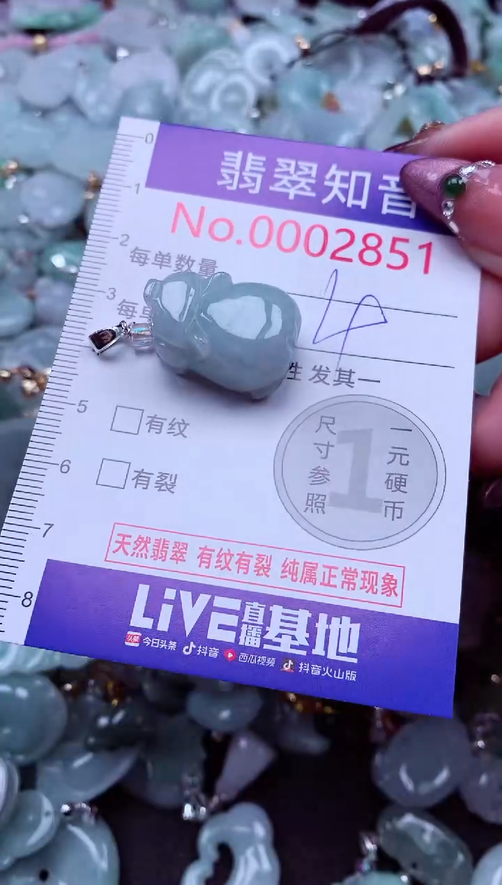 吊坠(不含链)未镶嵌翡翠2851