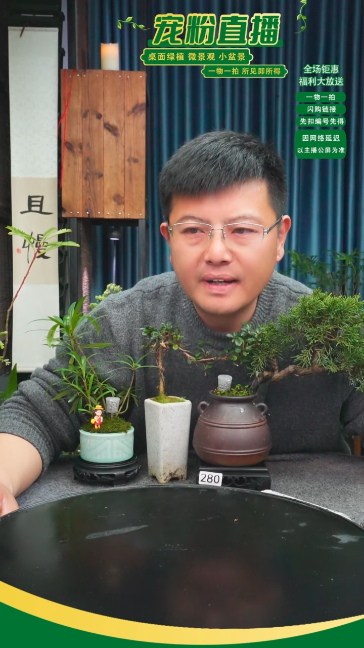 无花朵是***谎苔藓微景观280号