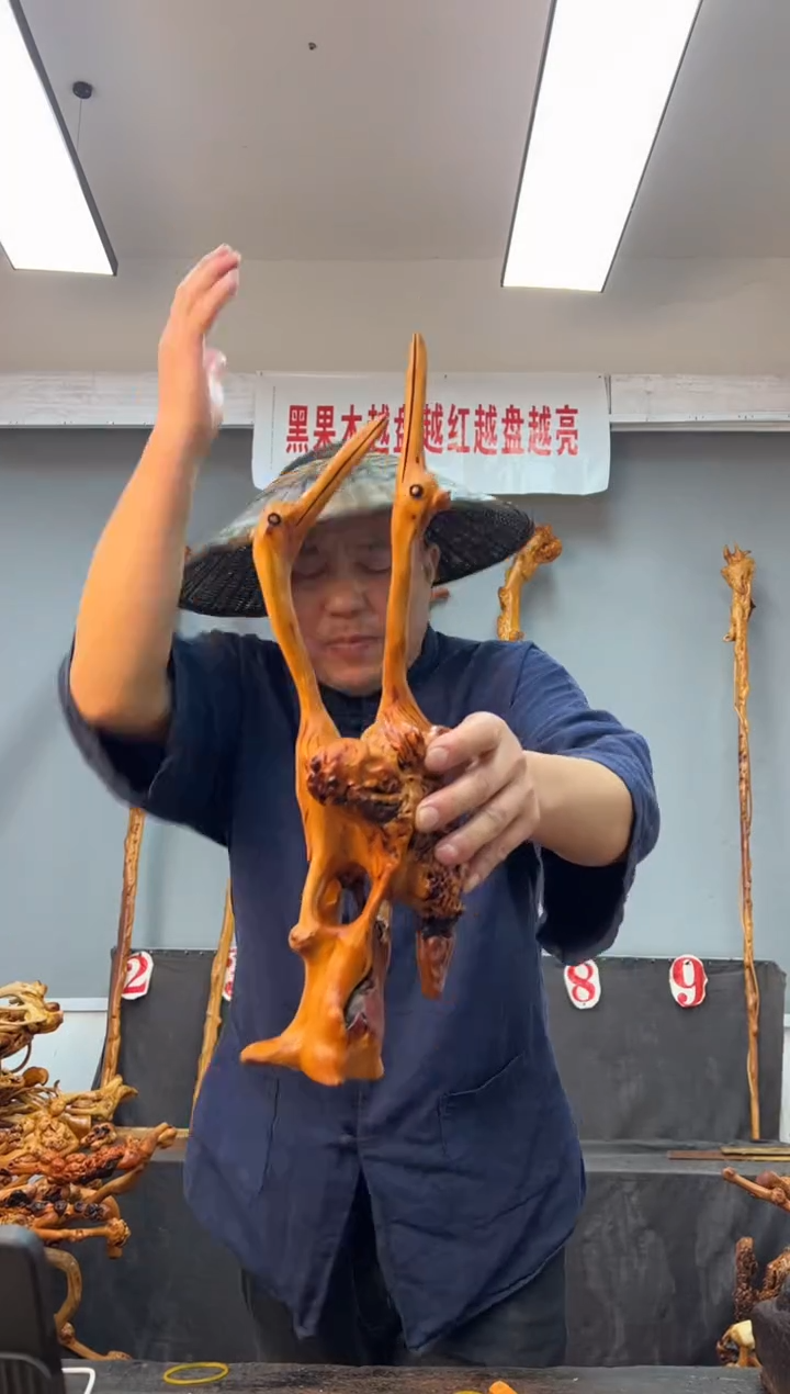 【闪购商品】黑果木其他黑果木478