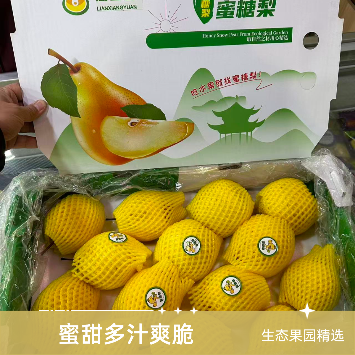 （呱呱达)古树蜜糖梨