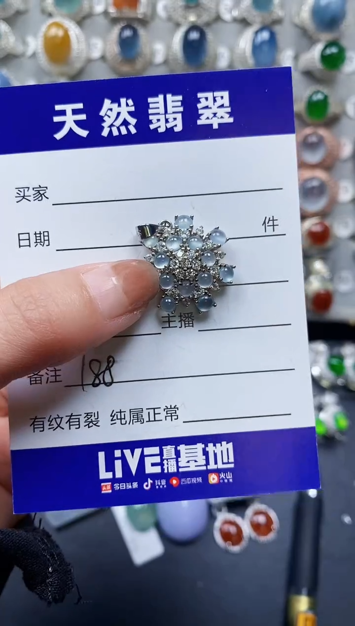 【闪购商品】翡翠颈饰银S925镶嵌0187