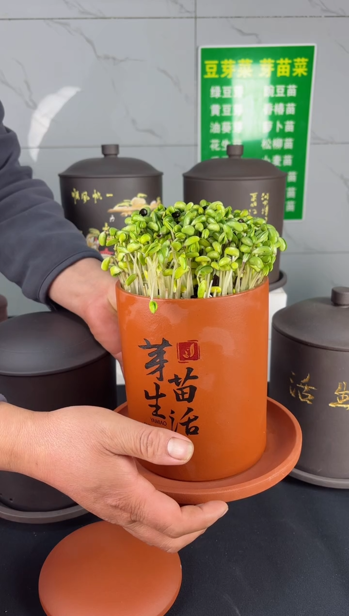 【闪购商品】紫砂中式小款直筒红泥  紫砂托