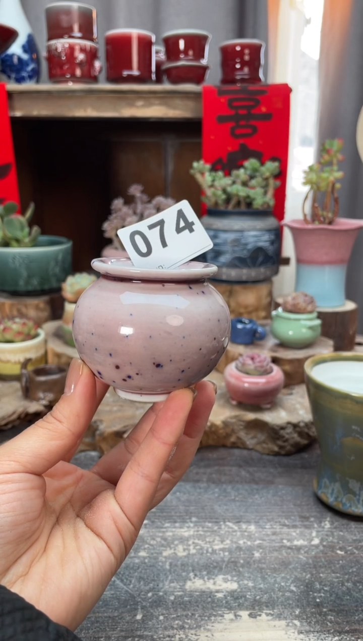 【闪购商品】摆件074木小芳花盆知