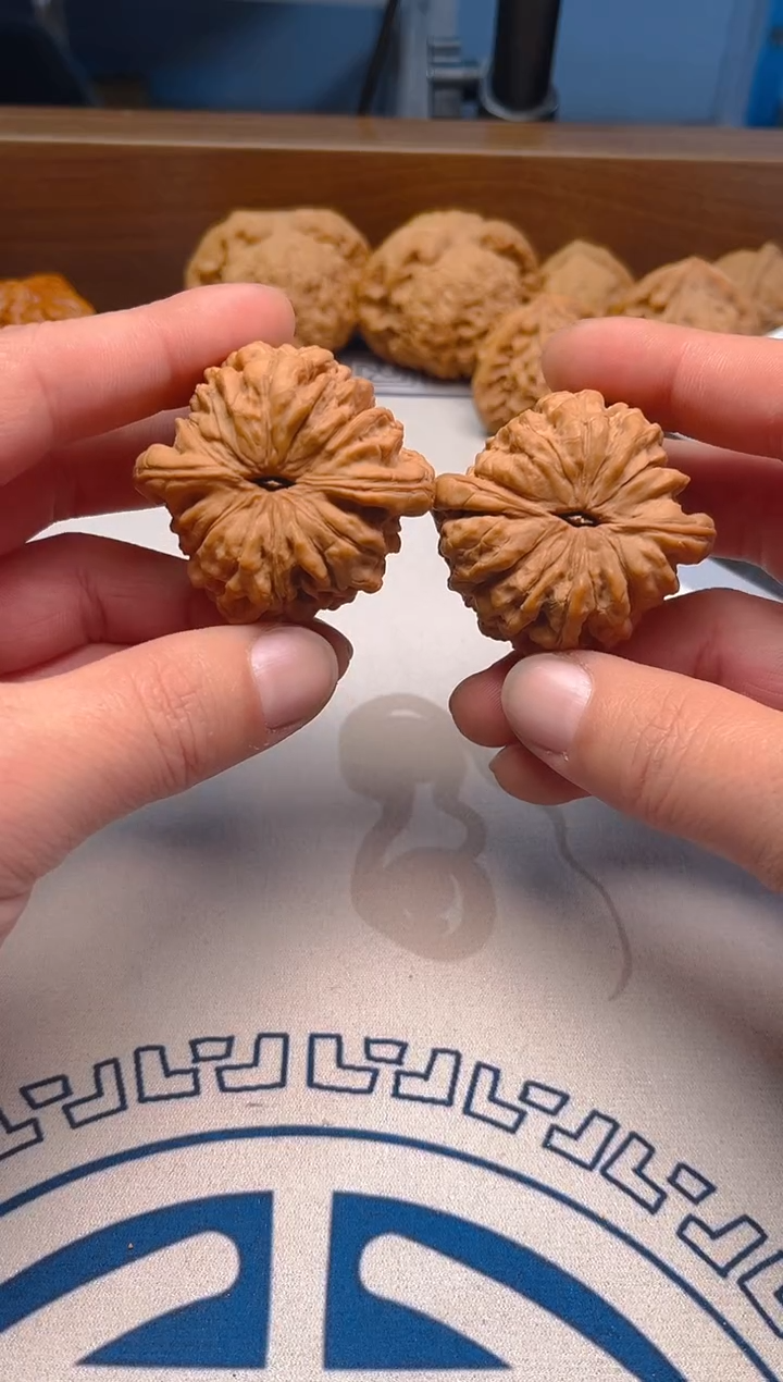 【闪购商品】文玩核桃把件48龙鼎