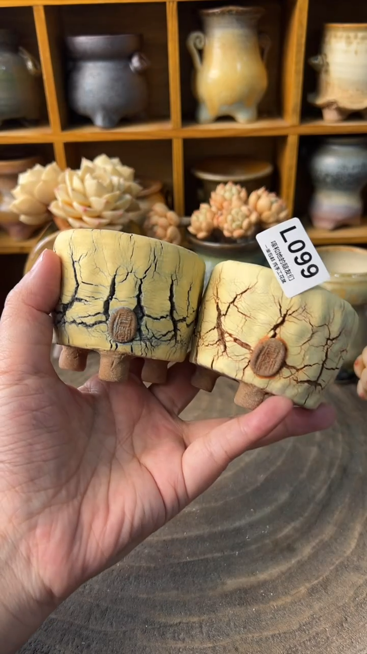 099 内口6【多肉花盆多肉盆】