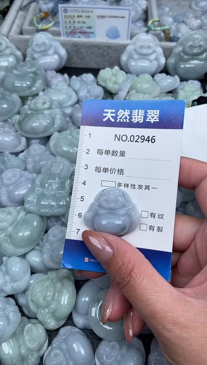 颈饰未镶嵌翡翠纯天然A货翡翠2946