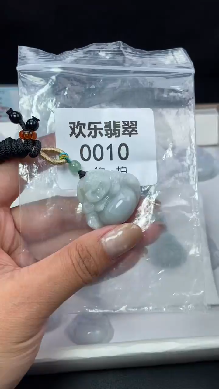 颈饰未镶嵌翡翠缅甸天然翡翠0010