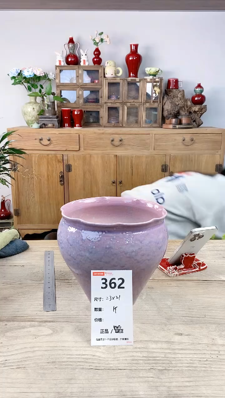 晴好园艺直播编号362